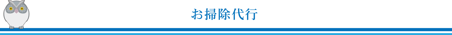 お掃除代行